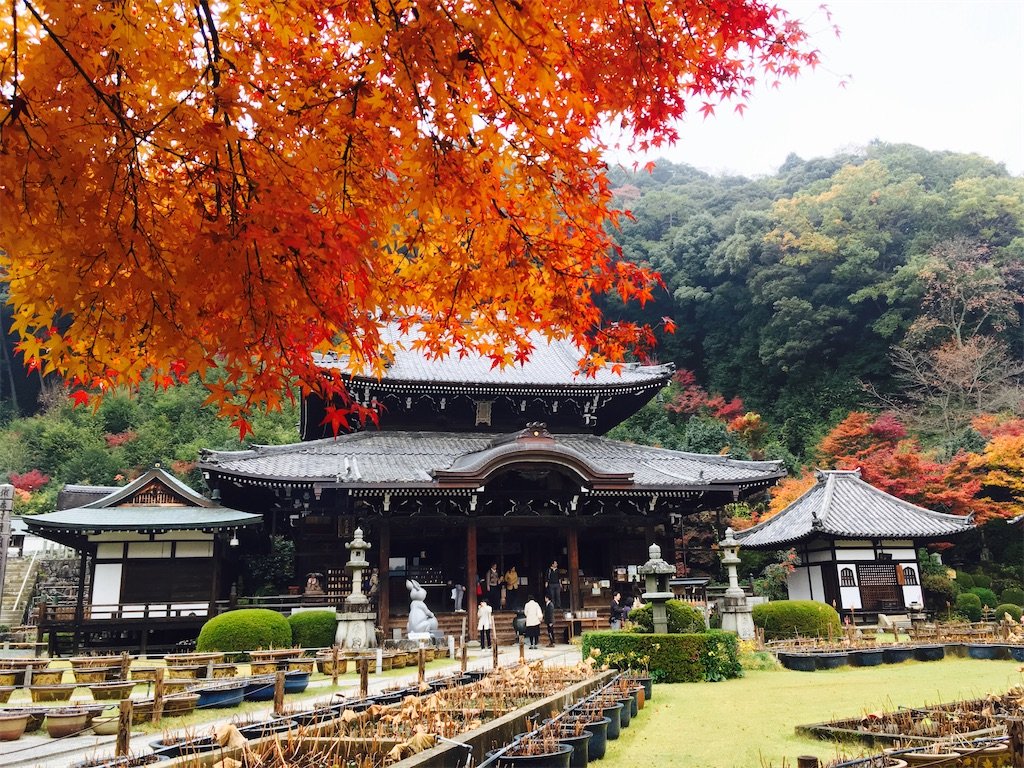 🏯 기원정사 (기온지) 이미지 6
